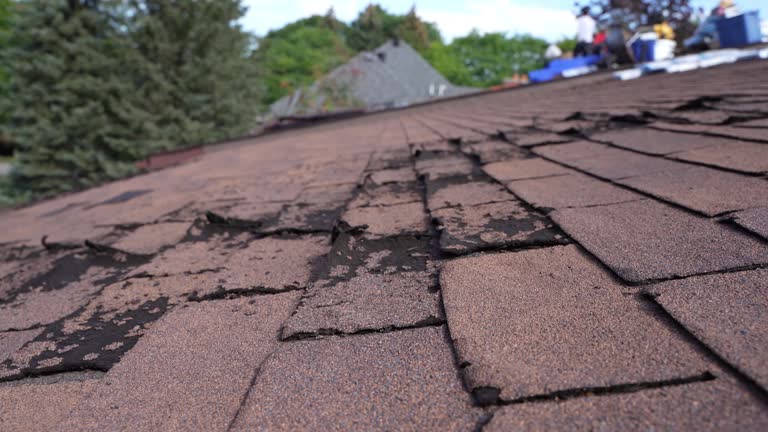 Best Gutter Installation and Repair  in Ridgewood, IL
