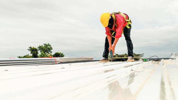 Best Skylight Installation and Repair  in Ridgewood, IL