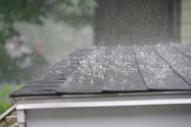 Best Asphalt Shingle Roofing  in Ridgewood, IL