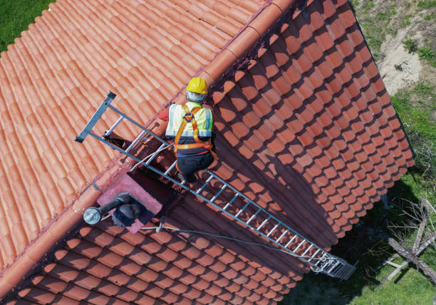 Best Asphalt Shingles Roofing  in Ridgewood, IL