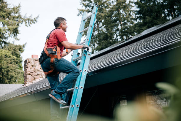  Ridgewood, IL Roofing Service Pros