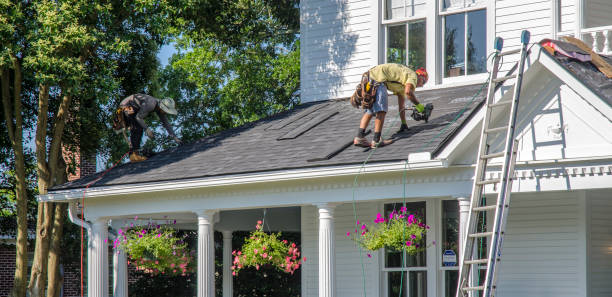 Best Metal Roofing Installation  in Ridgewood, IL